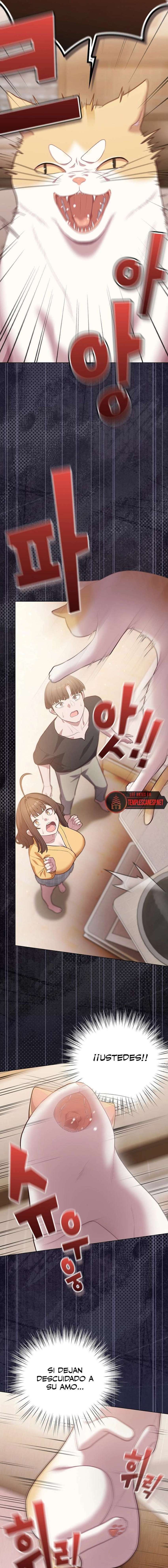 Maullidos de amor Capítulo 53 - Page 4