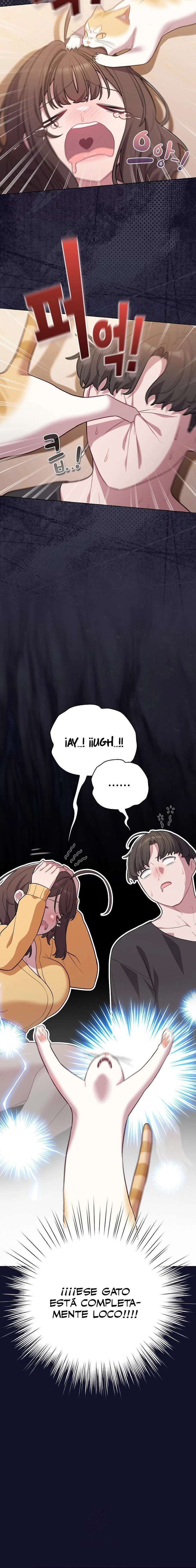 Maullidos de amor Capítulo 53 - Page 6