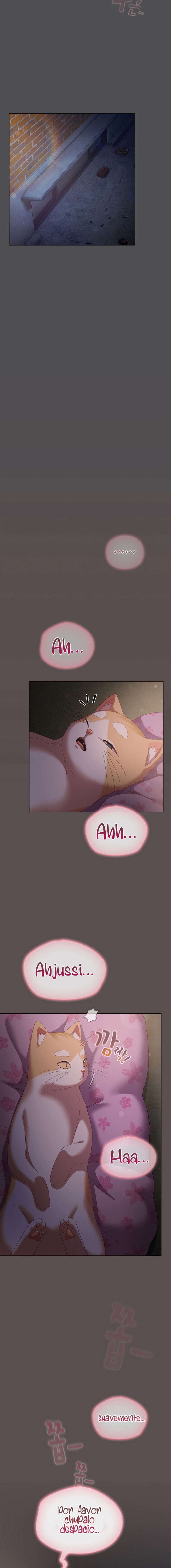 Maullidos de amor Capítulo 6 - Page 16