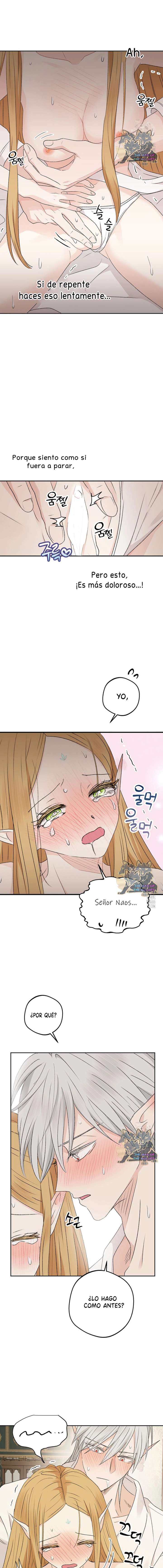 Apareamiento De Elfos Capítulo 35 - Page 17