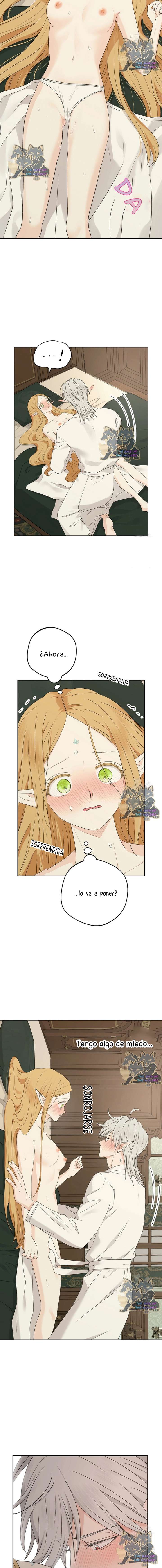 Apareamiento De Elfos Capítulo 36 - Page 3