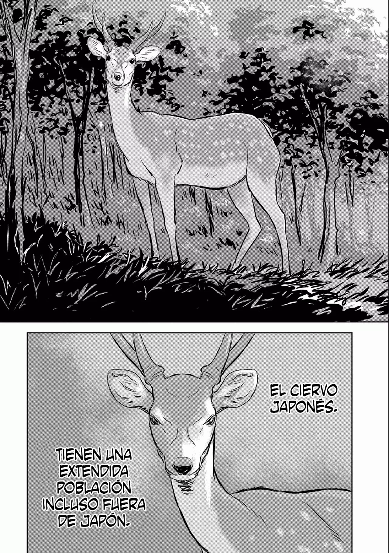 Sengoku Komachi Kuroutan: Noukou Giga Capítulo 3 - Page 5