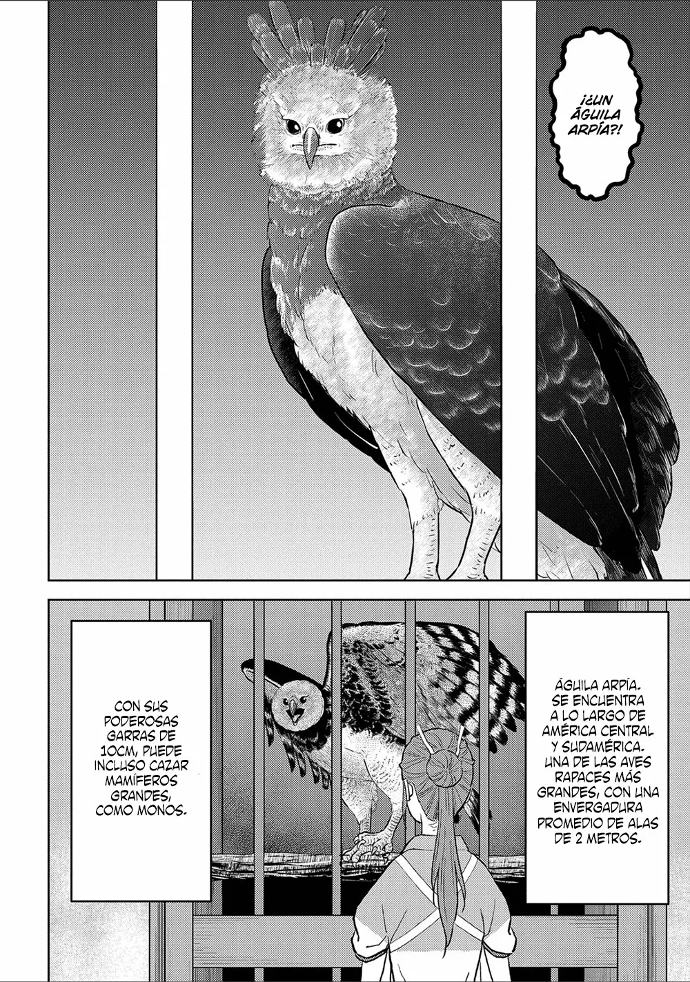 Sengoku Komachi Kuroutan: Noukou Giga Capítulo 38 - Page 23