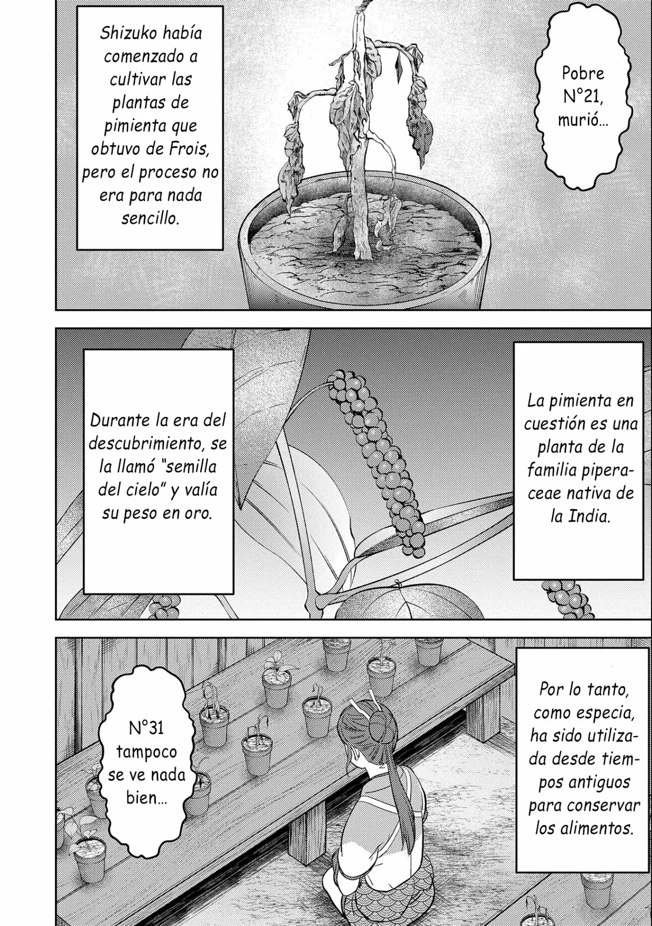 Sengoku Komachi Kuroutan: Noukou Giga Capítulo 44 - Page 3