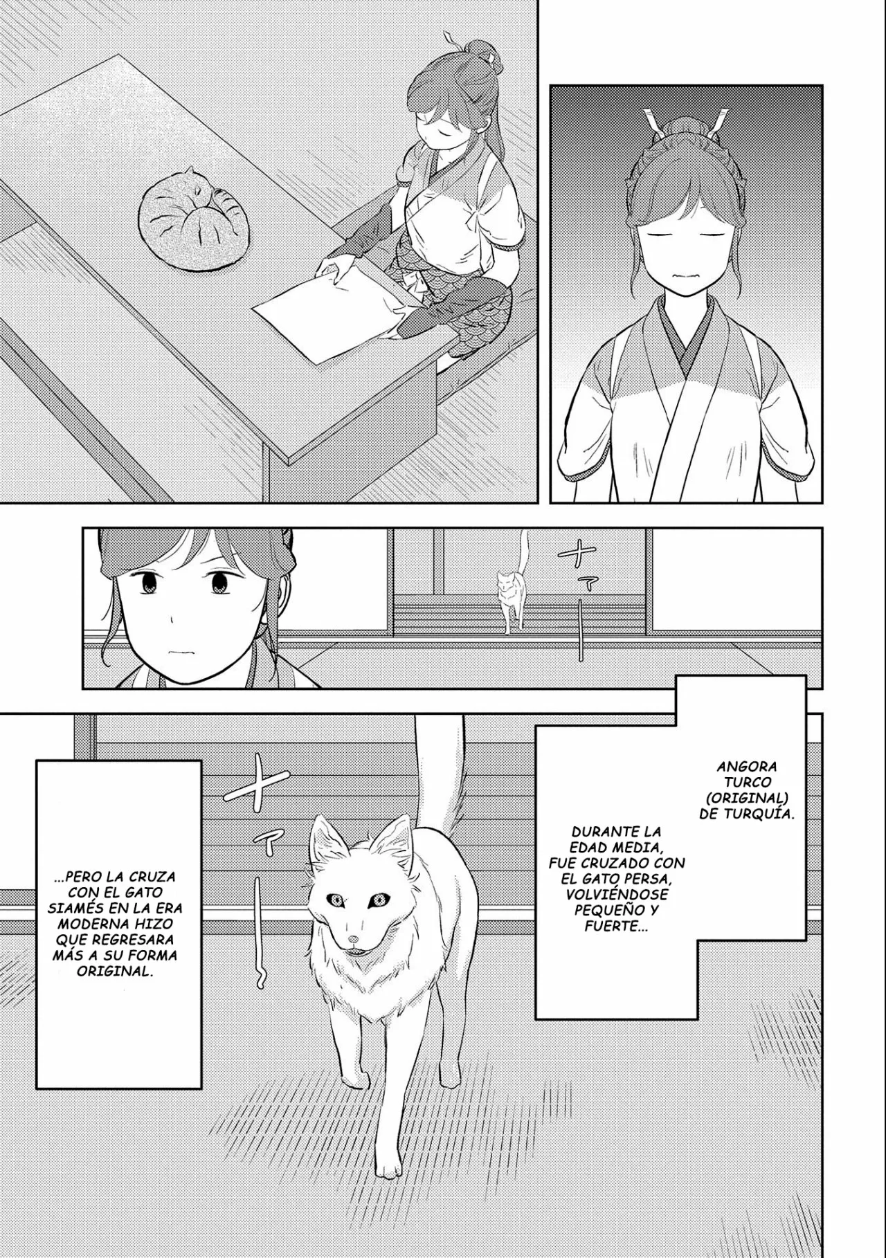 Sengoku Komachi Kuroutan: Noukou Giga Capítulo 57 - Page 15