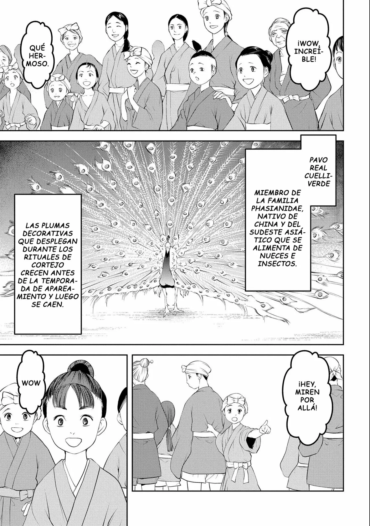 Sengoku Komachi Kuroutan: Noukou Giga Capítulo 57 - Page 5