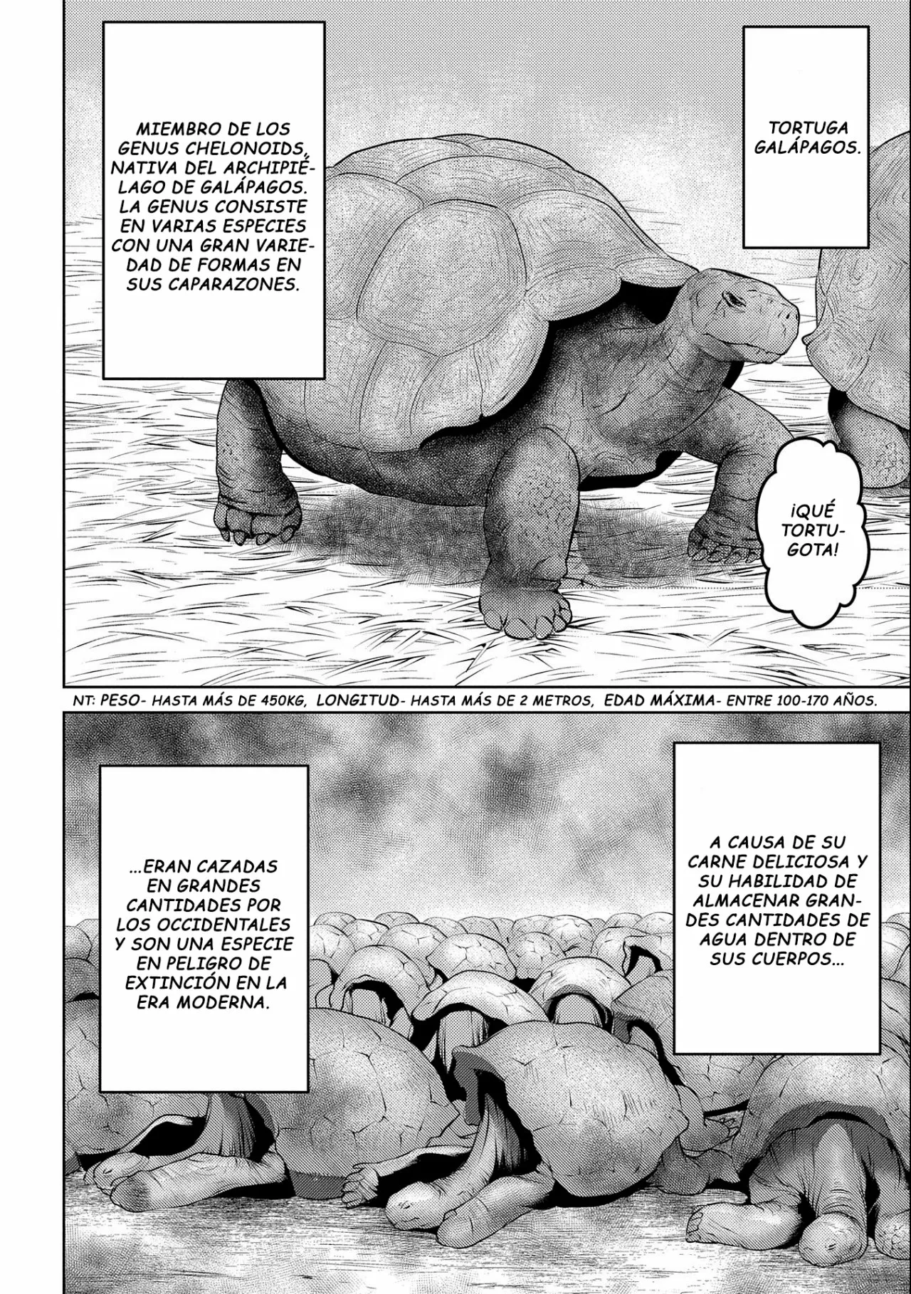 Sengoku Komachi Kuroutan: Noukou Giga Capítulo 57 - Page 6