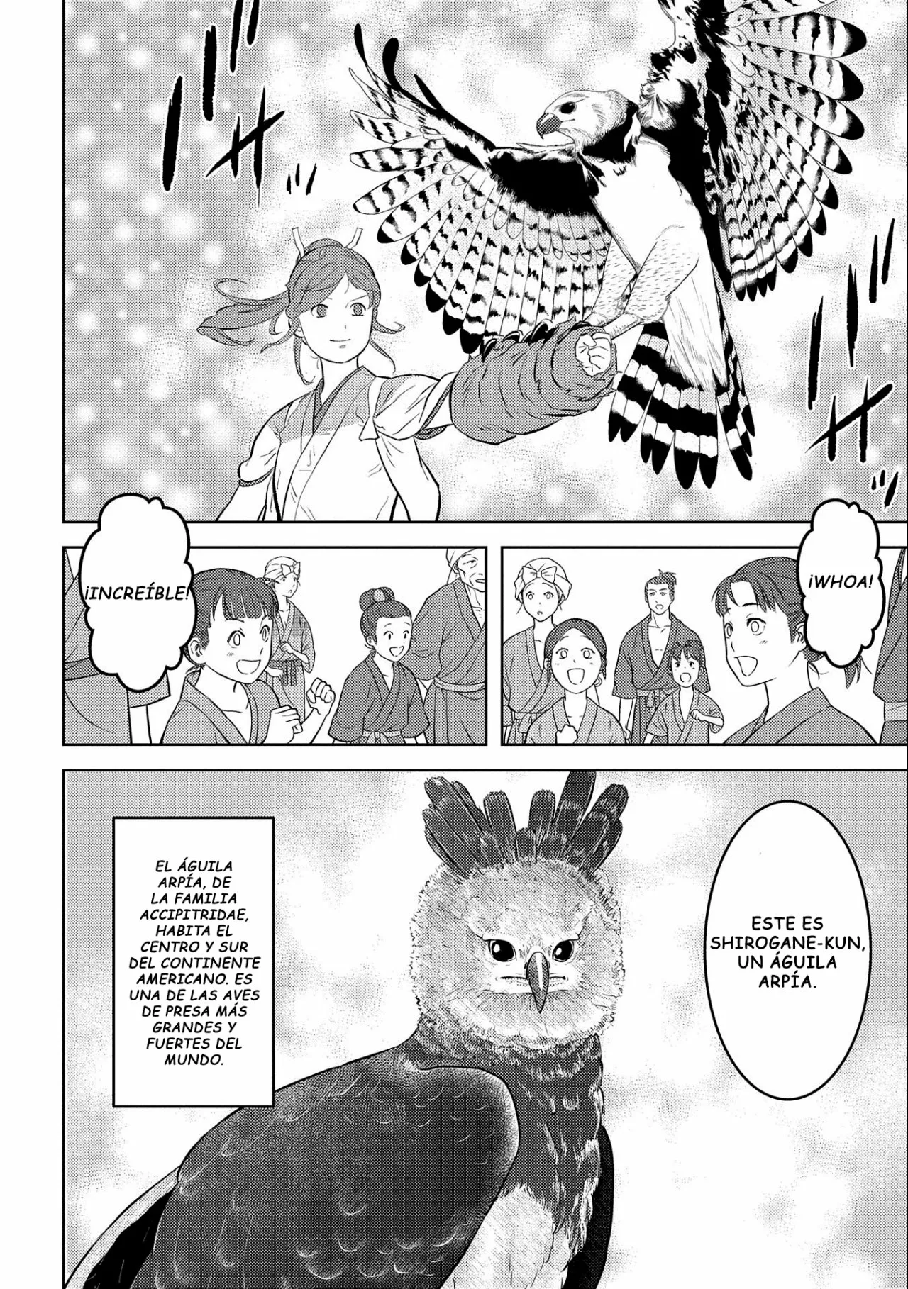 Sengoku Komachi Kuroutan: Noukou Giga Capítulo 57 - Page 8