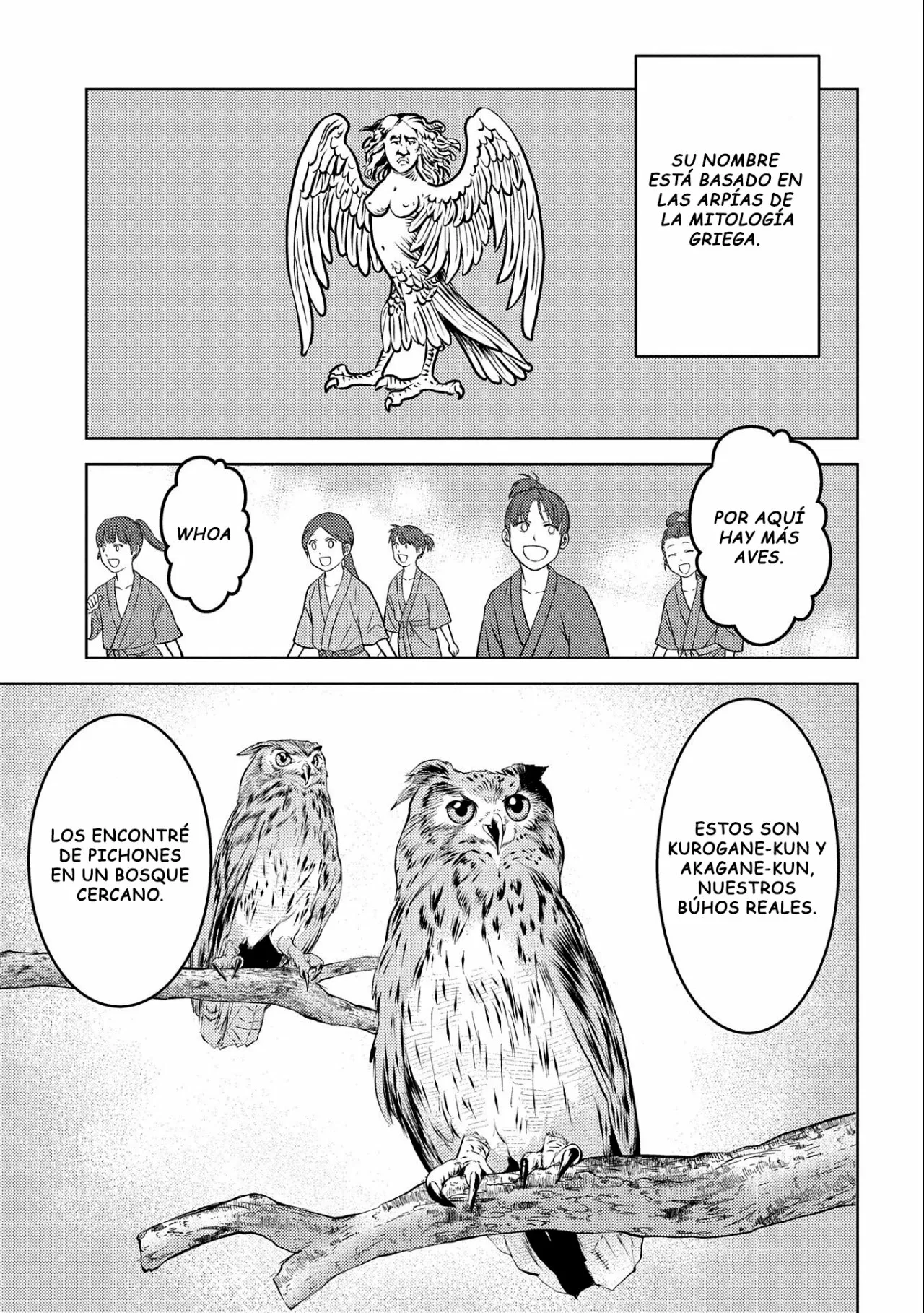 Sengoku Komachi Kuroutan: Noukou Giga Capítulo 57 - Page 9