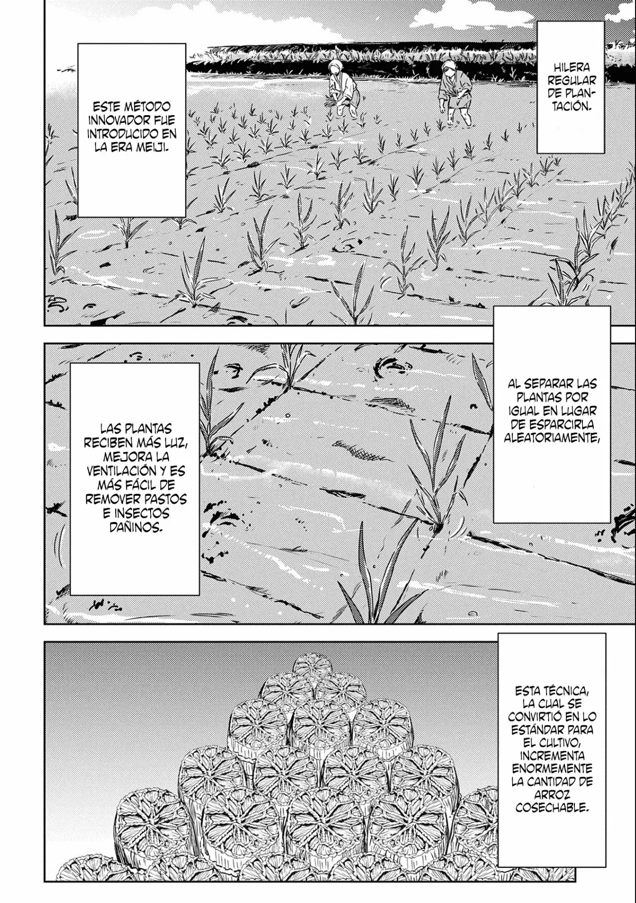 Sengoku Komachi Kuroutan: Noukou Giga Capítulo 6 - Page 20