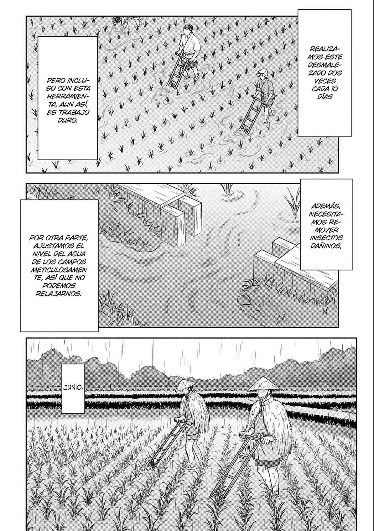 Sengoku Komachi Kuroutan: Noukou Giga Capítulo 6 - Page 33