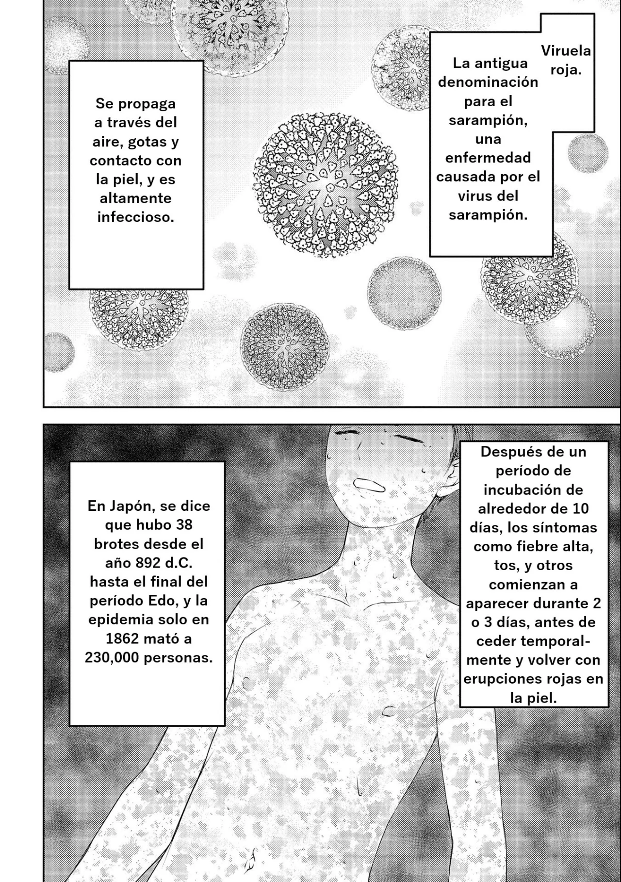 Sengoku Komachi Kuroutan: Noukou Giga Capítulo 61 - Page 12