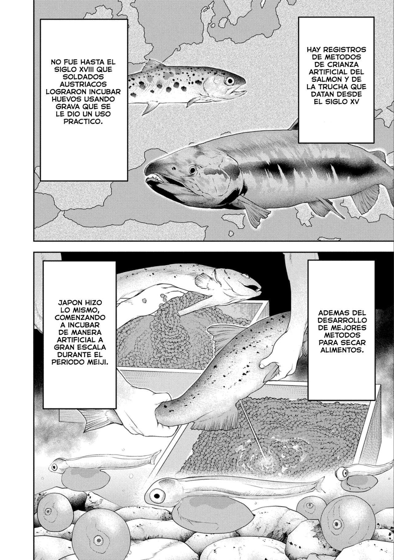 Sengoku Komachi Kuroutan: Noukou Giga Capítulo 71 - Page 16