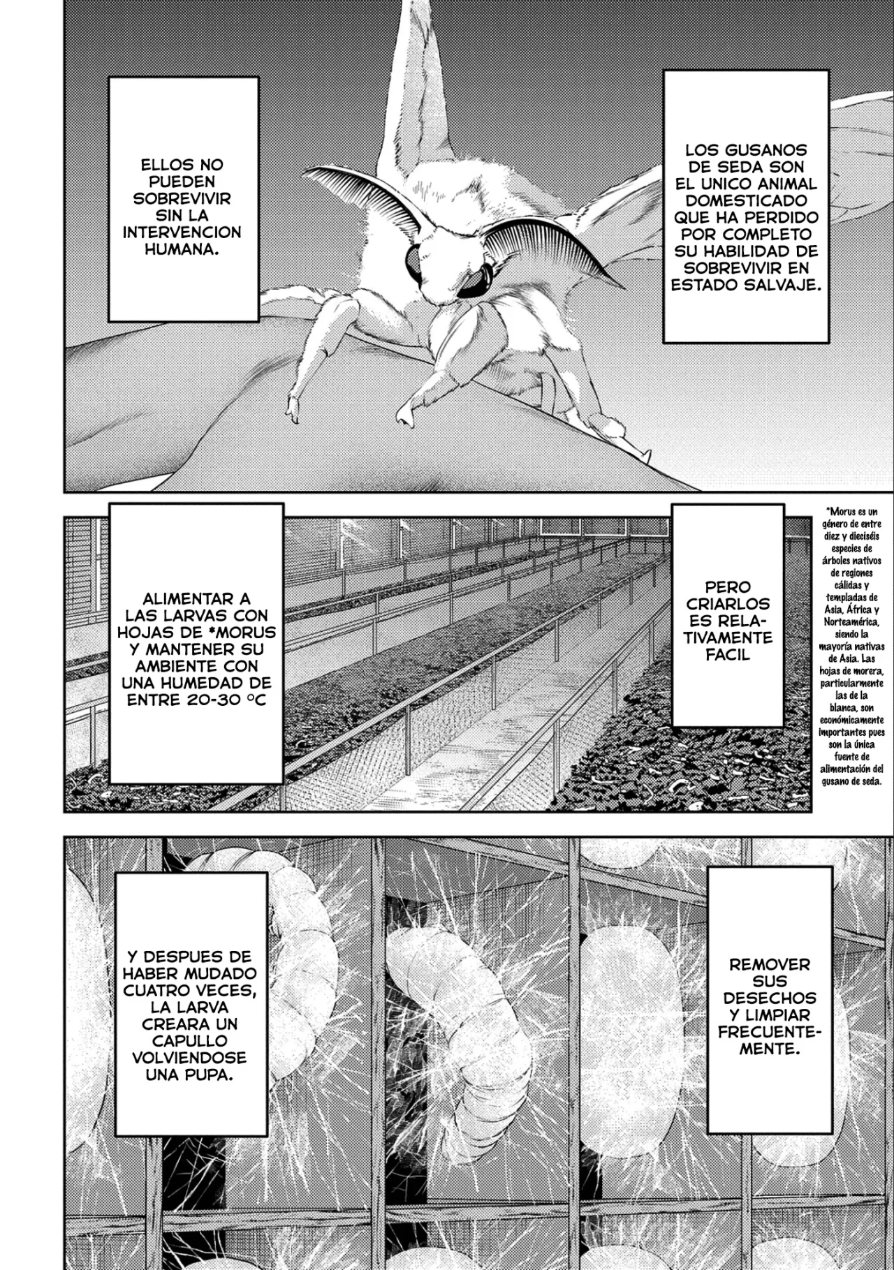 Sengoku Komachi Kuroutan: Noukou Giga Capítulo 74 - Page 5