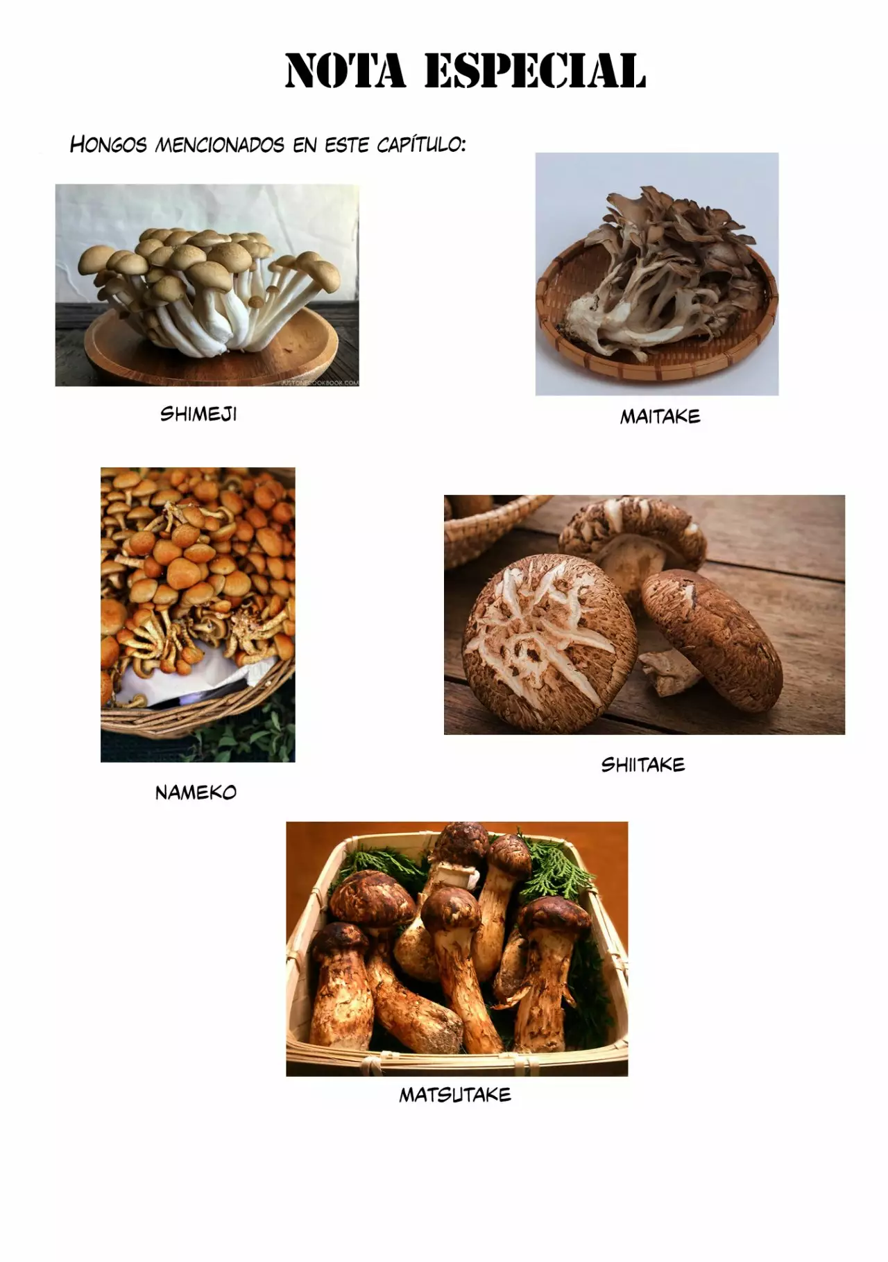 Sengoku Komachi Kuroutan: Noukou Giga Capítulo 8 - Page 31