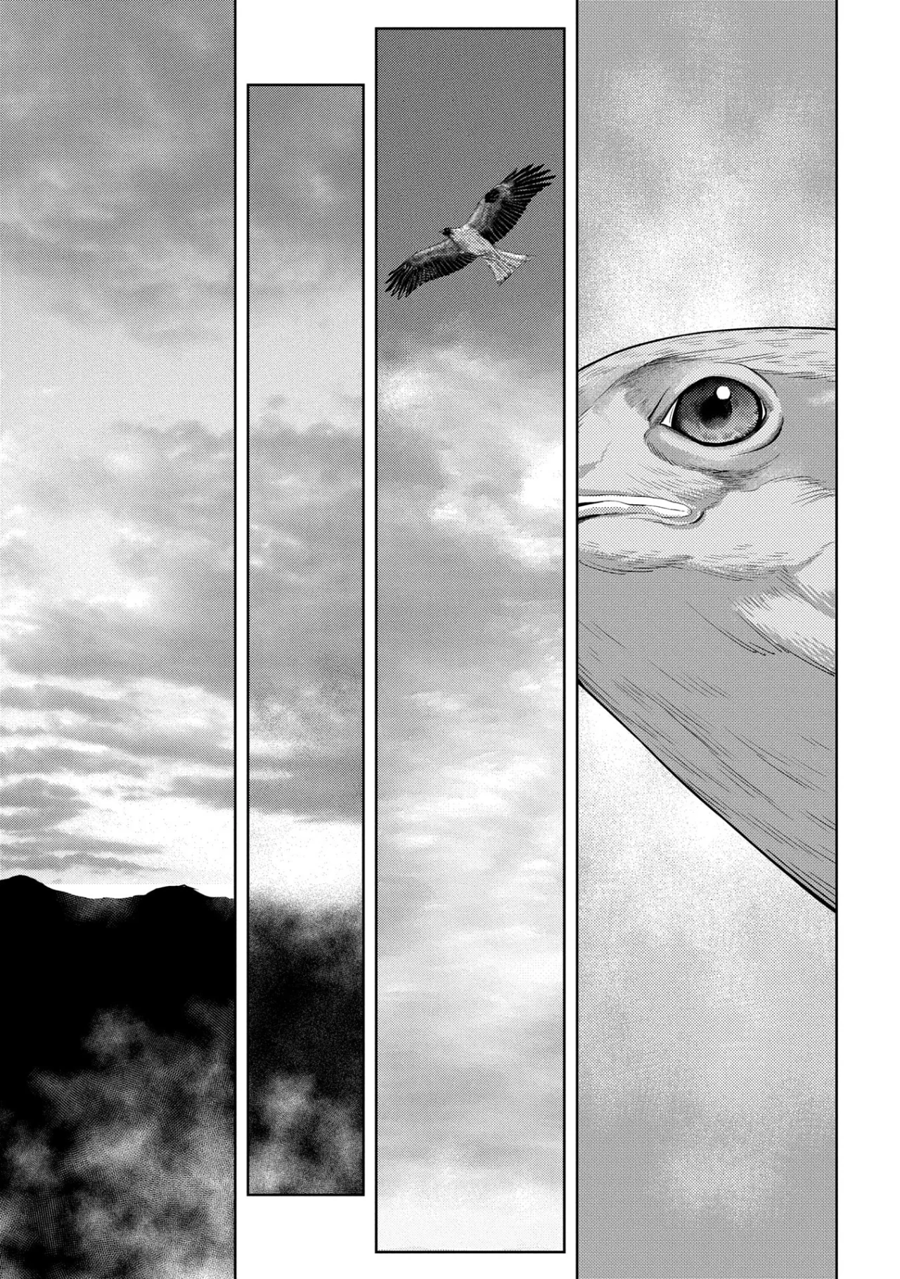 Sengoku Komachi Kuroutan: Noukou Giga Capítulo 86 - Page 13