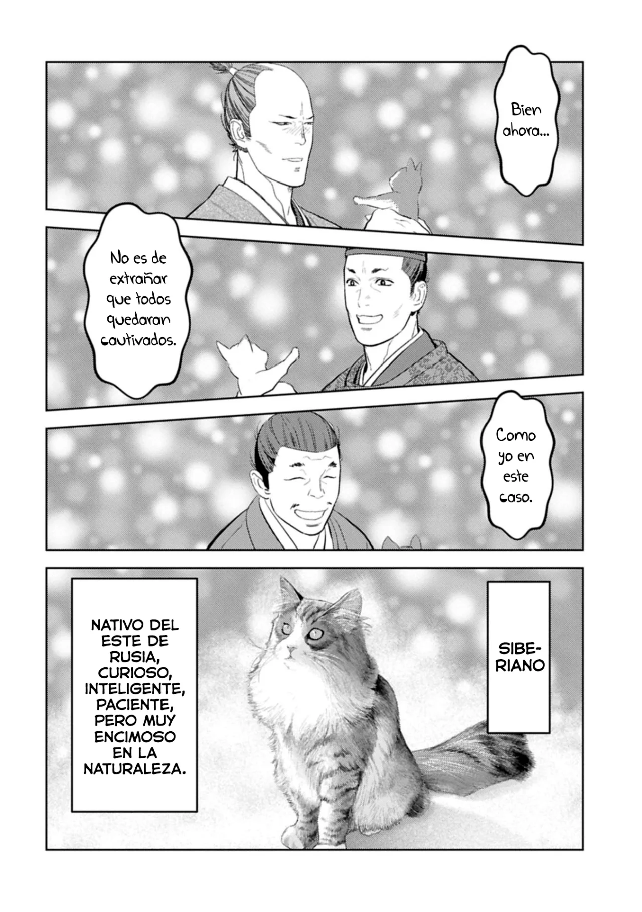 Sengoku Komachi Kuroutan: Noukou Giga Capítulo 89 - Page 13