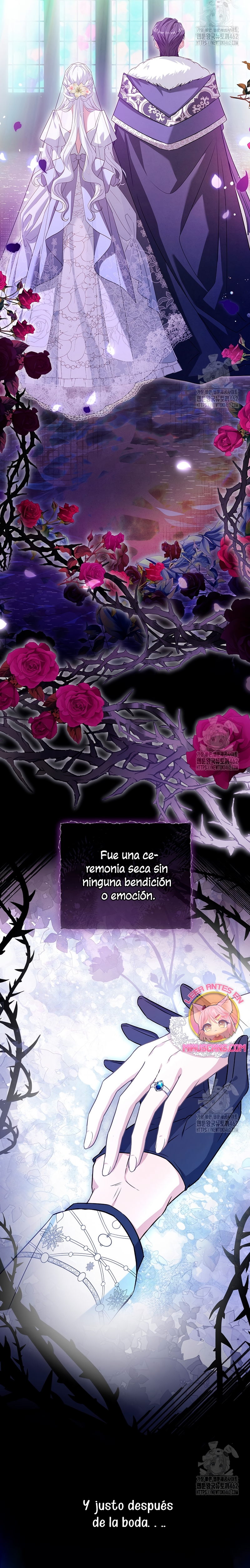 Cariño, ¿por qué no podemos divorciarnos? Capítulo 1 - Page 23