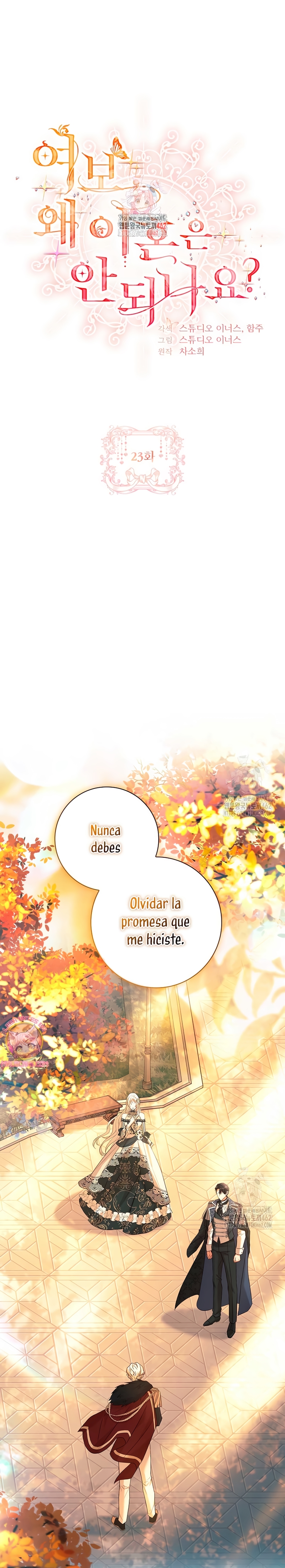 Cariño, ¿por qué no podemos divorciarnos? Capítulo 23 - Page 3