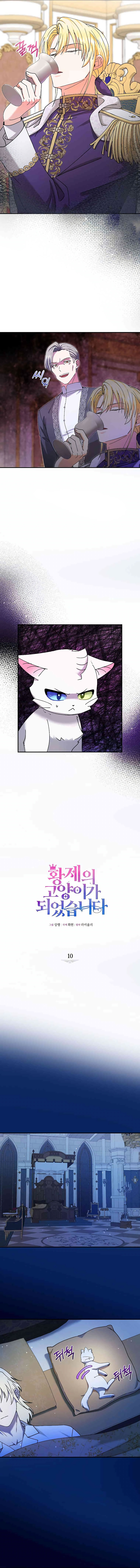 Me convertí en el gato del emperador Capítulo 10 - Page 7