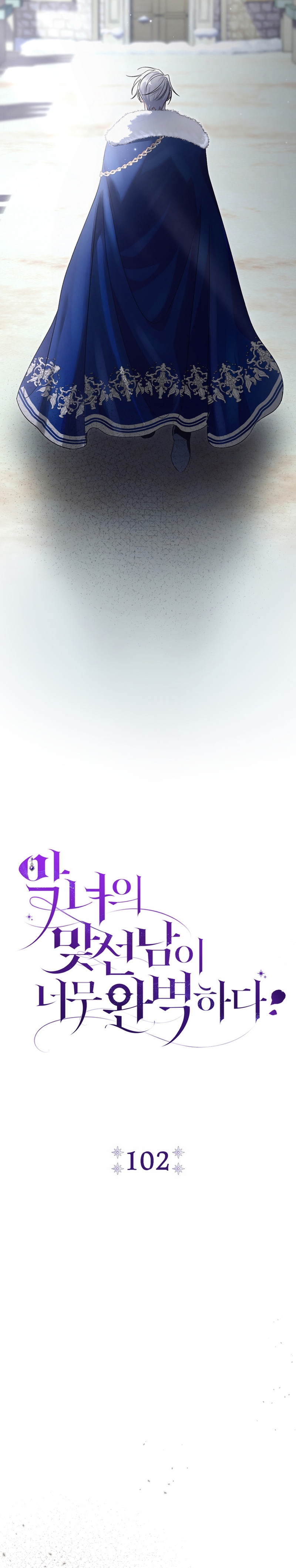 La pareja del villano es demasiado perfecta Capítulo 102 - Page 11