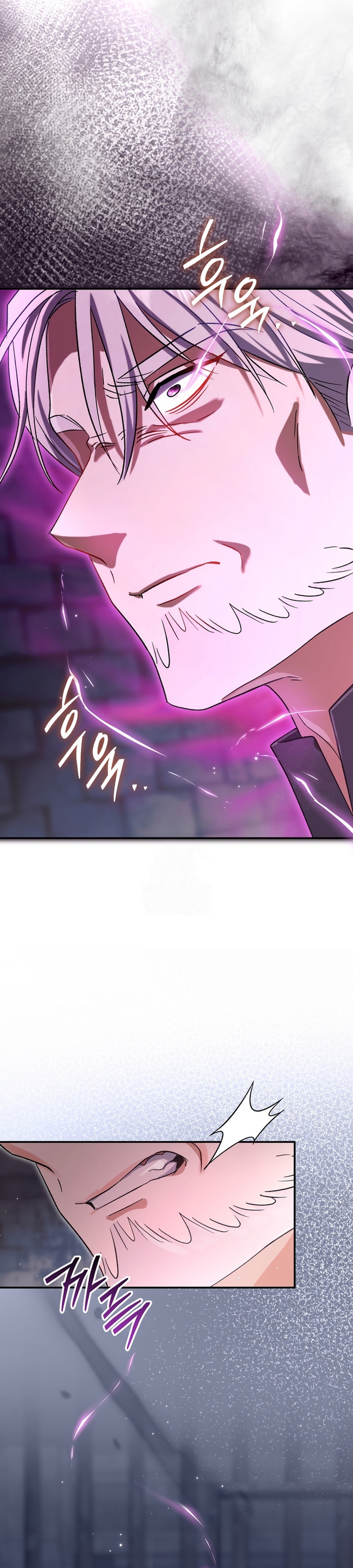 La pareja del villano es demasiado perfecta Capítulo 103 - Page 9