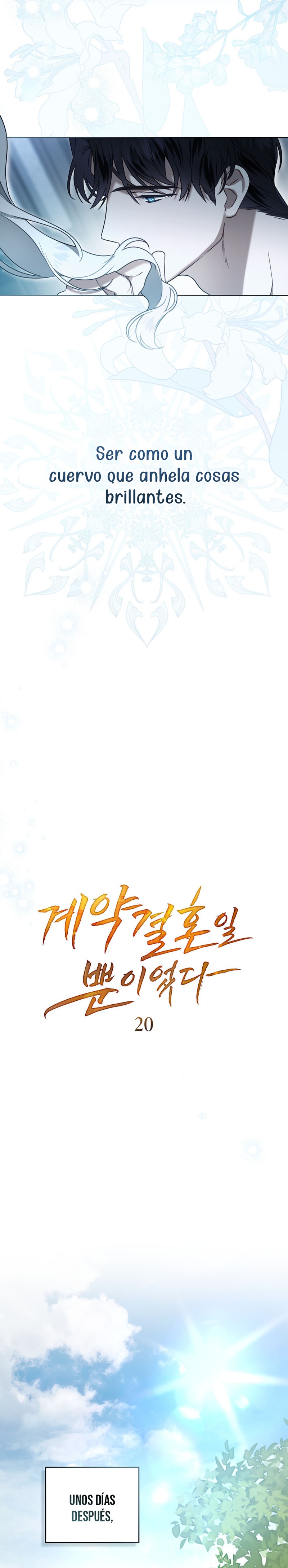 Fue solo un matrimonio por contrato Capítulo 20 - Page 13