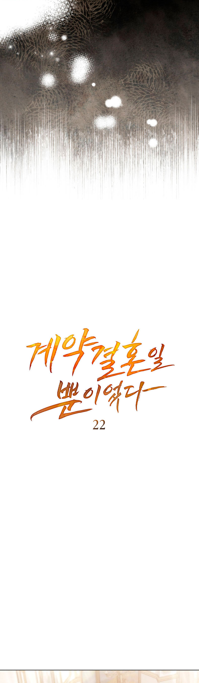 Fue solo un matrimonio por contrato Capítulo 22 - Page 10