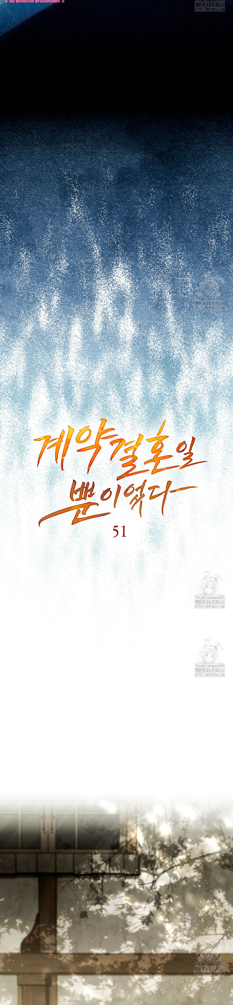 Fue solo un matrimonio por contrato Capítulo 51 - Page 13