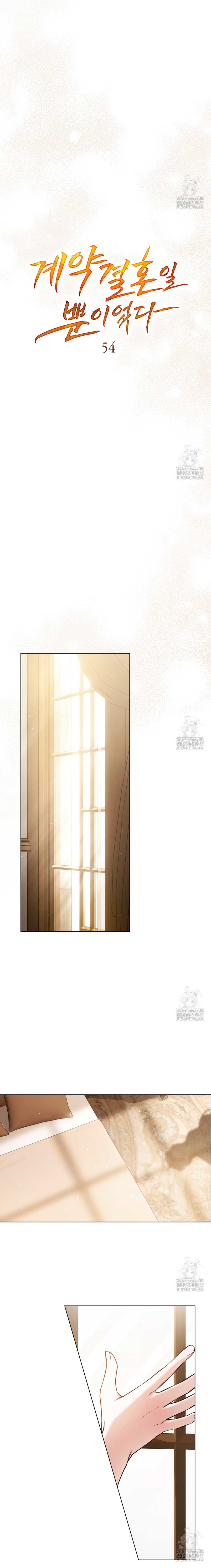 Fue solo un matrimonio por contrato Capítulo 54 - Page 10