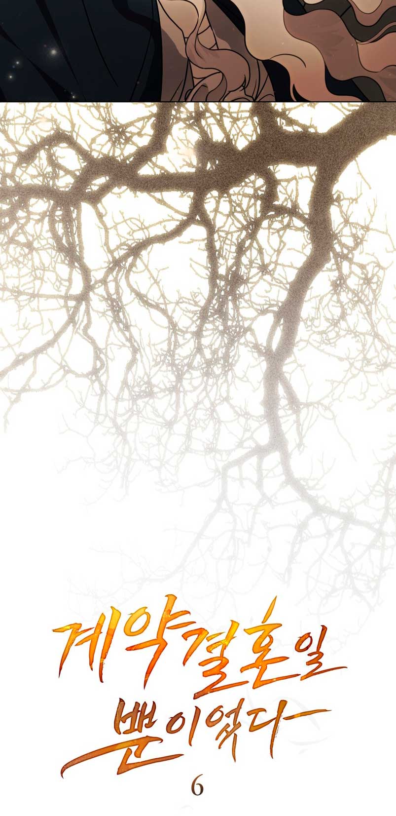 Fue solo un matrimonio por contrato Capítulo 6 - Page 8