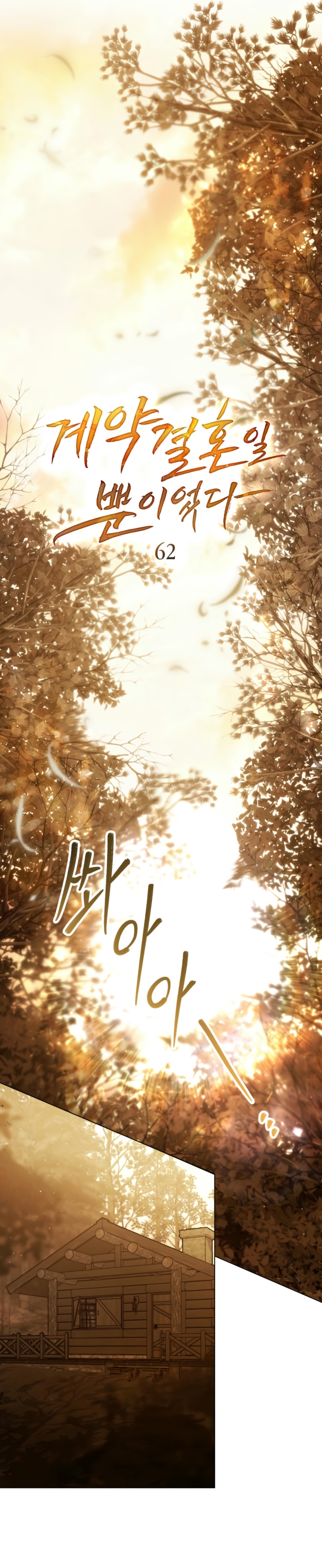 Fue solo un matrimonio por contrato Capítulo 62 - Page 18