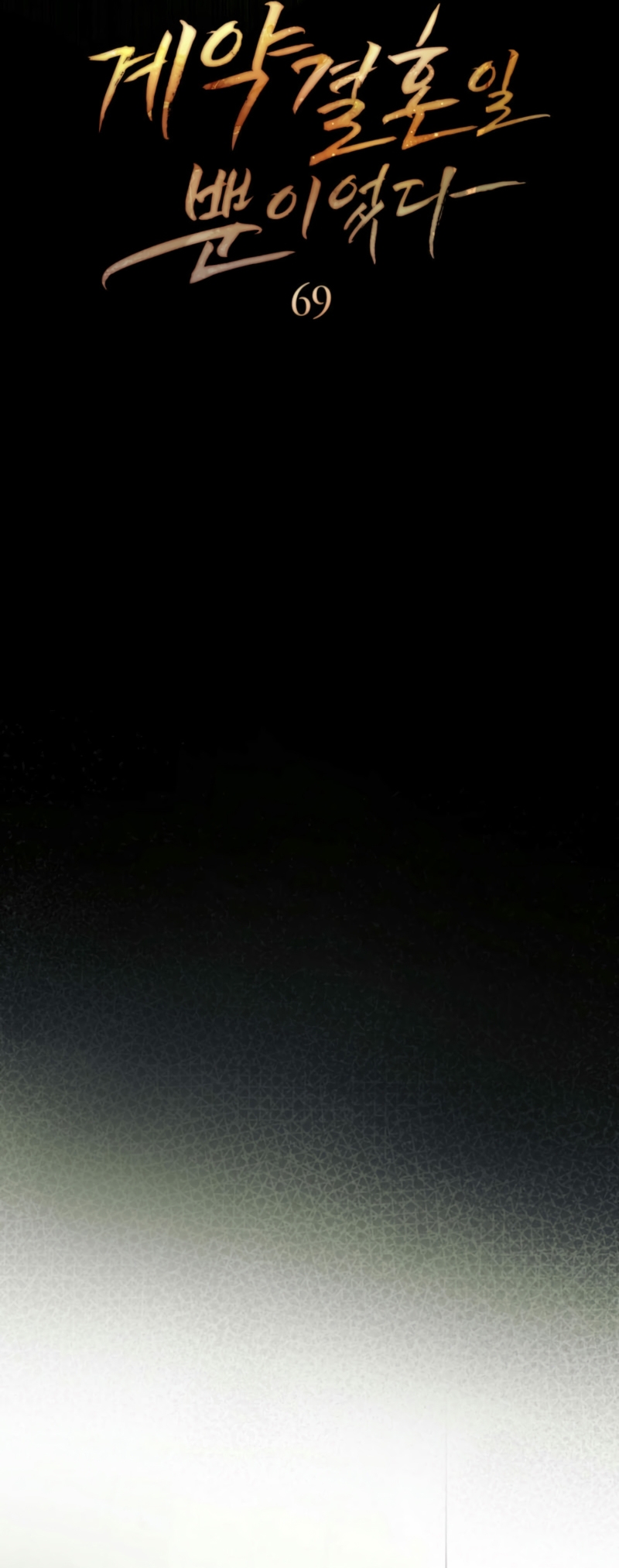 Fue solo un matrimonio por contrato Capítulo 69 - Page 10