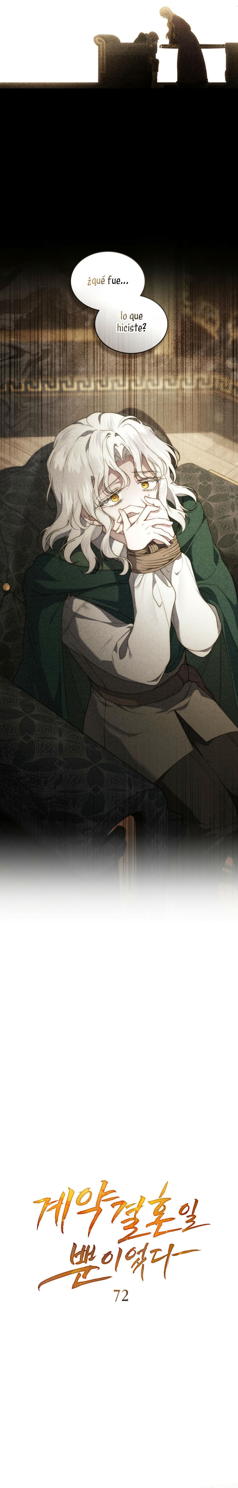 Fue solo un matrimonio por contrato Capítulo 72 - Page 12