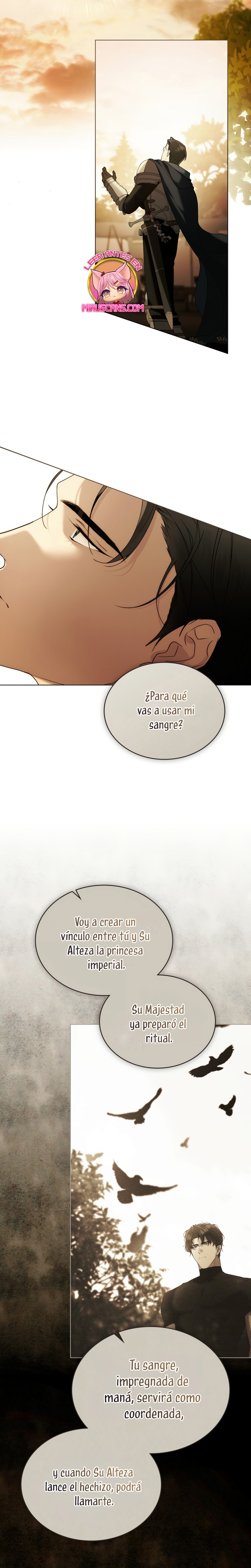 Fue solo un matrimonio por contrato Capítulo 95 - Page 16