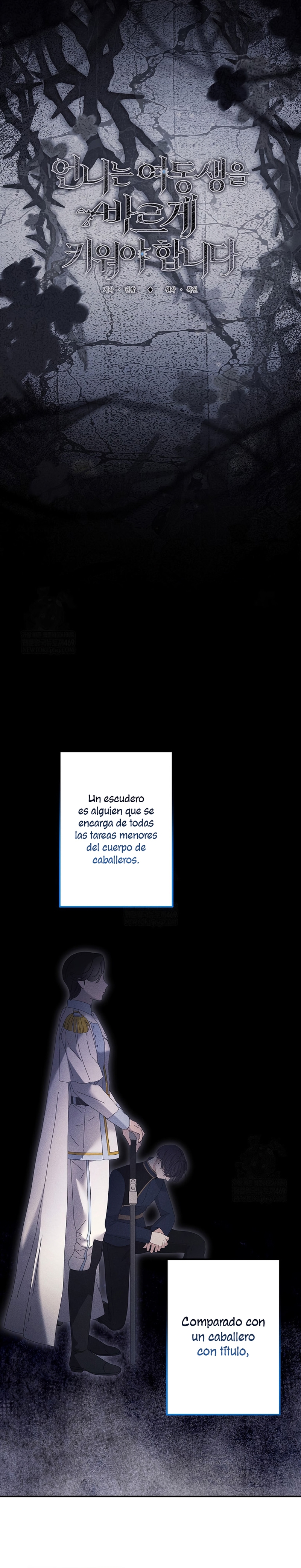 Una hermana mayor debe educar bien a su hermana menor Capítulo 124 - Page 9