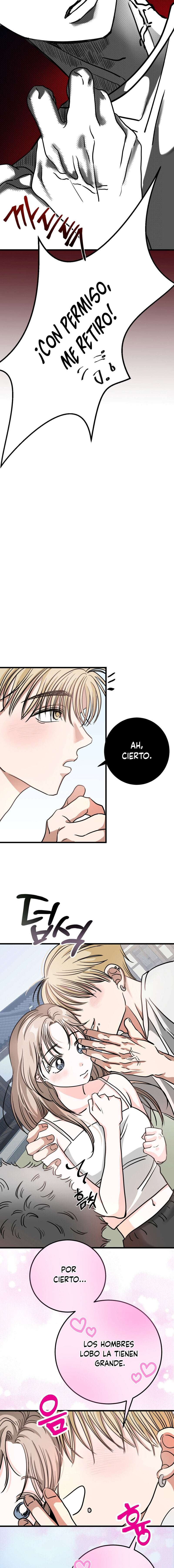 ¡Los lobos son peligrosos! Capítulo 1 - Page 17