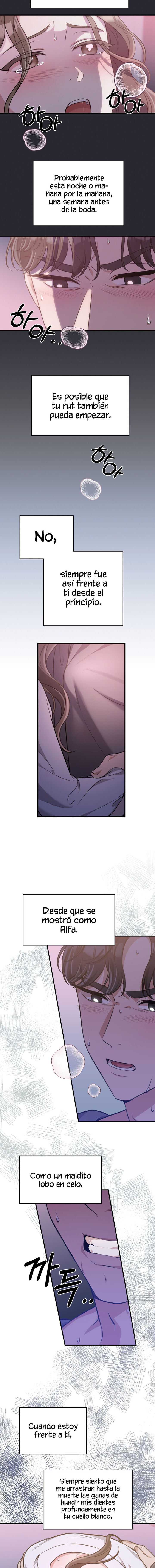 ROBANDO A LA NOVIA Capítulo 1 - Page 7