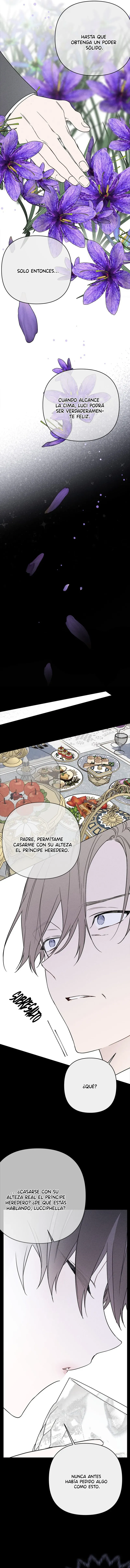 Luci, La Caballero Que Vive Como Una Dama Capítulo 141 - Page 12