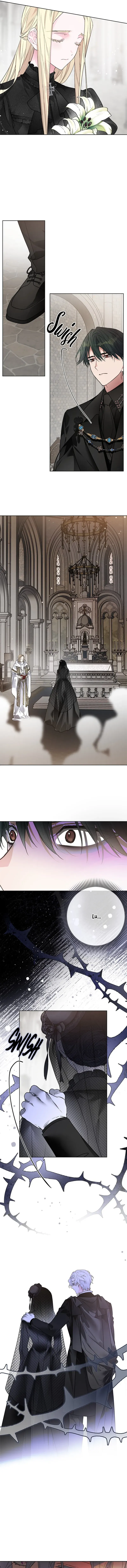 Luci, La Caballero Que Vive Como Una Dama Capítulo 145 - Page 8