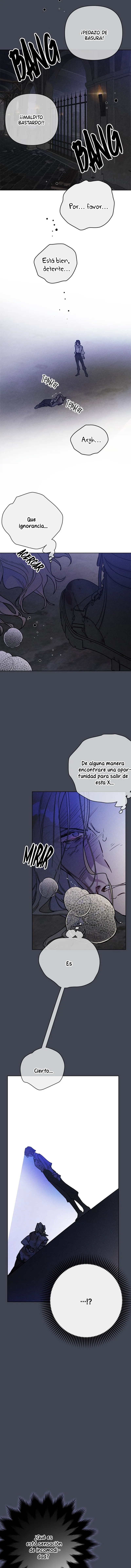 Luci, La Caballero Que Vive Como Una Dama Capítulo 172 - Page 8