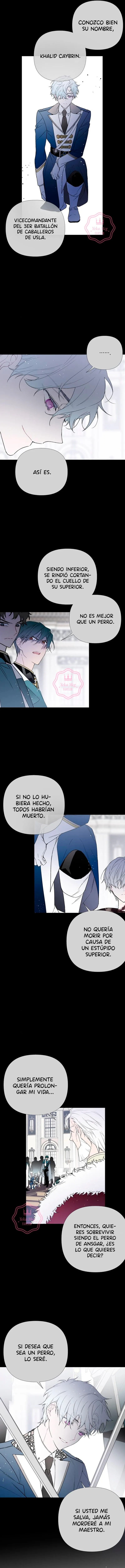 Luci, La Caballero Que Vive Como Una Dama Capítulo 18 - Page 8