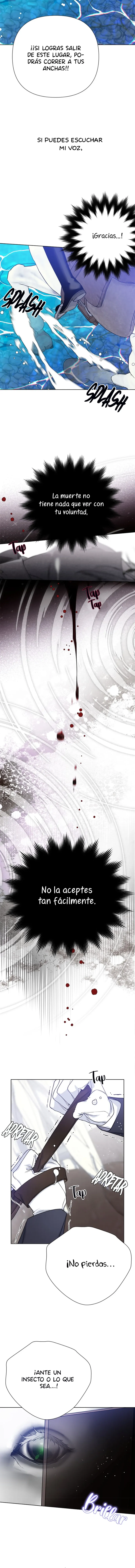 Luci, La Caballero Que Vive Como Una Dama Capítulo 62 - Page 12