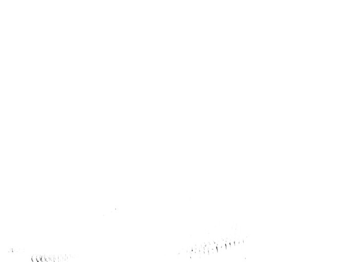 La crueldad de la salvación Capítulo 6 - Page 35