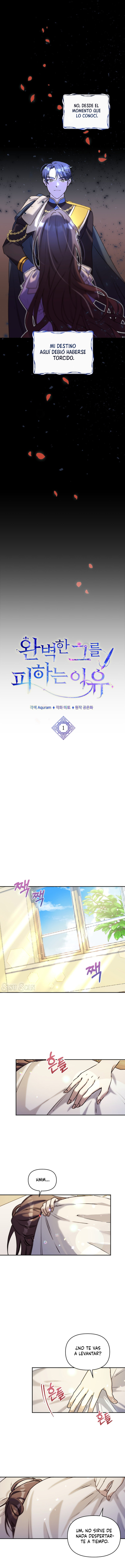 No evites al hombre perfecto Capítulo 1 - Page 7