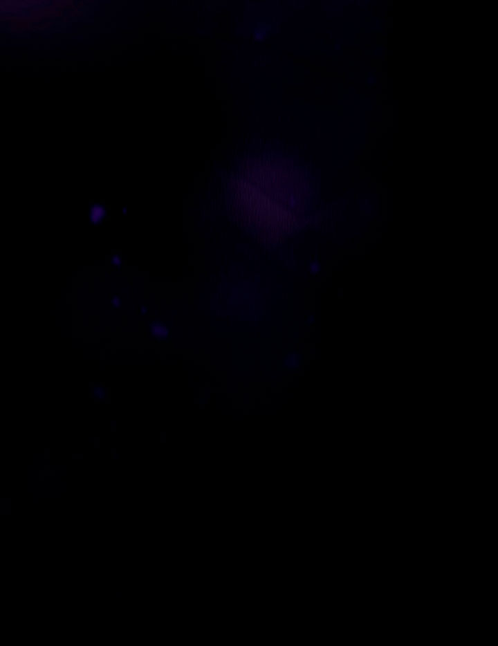 Estoy destinada a convertirme en la salvadora del protagonista Capítulo 2 - Page 62