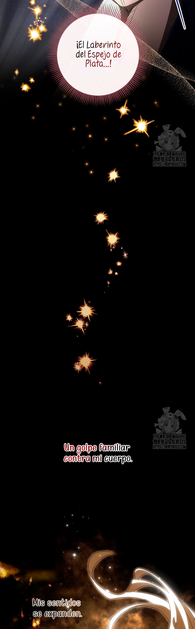 Estoy destinada a convertirme en la salvadora del protagonista Capítulo 96 - Page 10