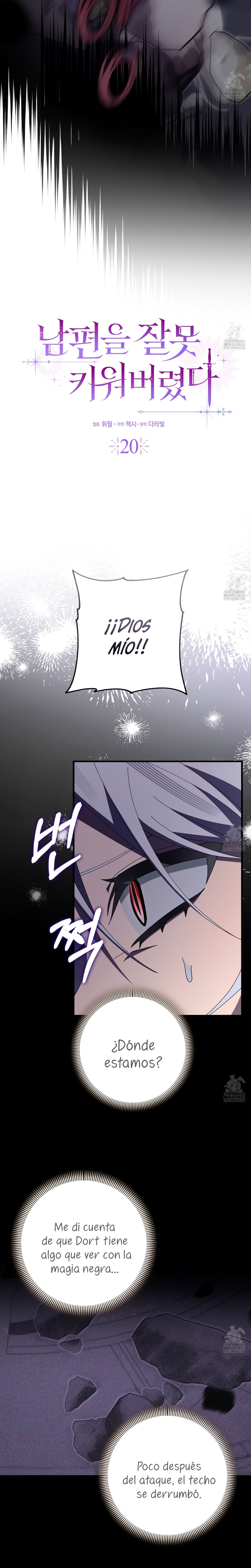 Malcrié a mi marido Capítulo 20 - Page 11