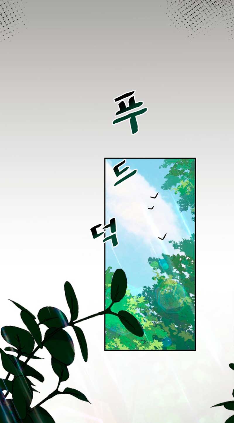 Un camión me mandó a otro mundo Capítulo 12 - Page 65