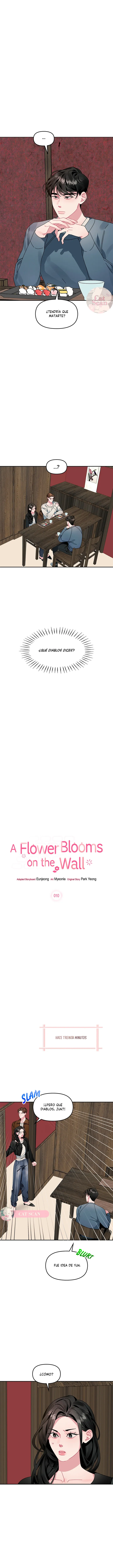 La flor que floreció en la pared Capítulo 10 - Page 5